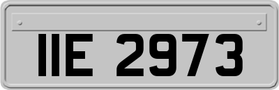 IIE2973