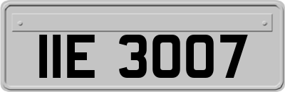 IIE3007
