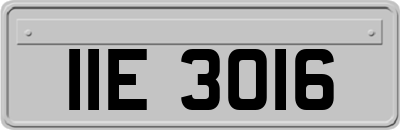 IIE3016