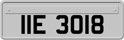 IIE3018