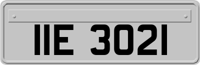 IIE3021