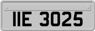 IIE3025