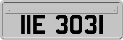 IIE3031
