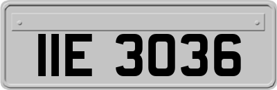 IIE3036