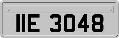IIE3048