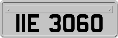IIE3060