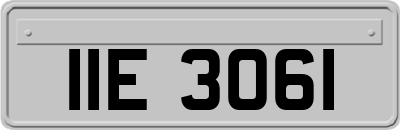 IIE3061