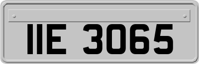 IIE3065