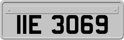 IIE3069
