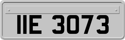 IIE3073