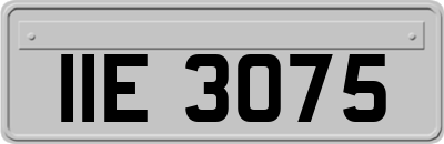 IIE3075