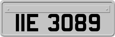 IIE3089