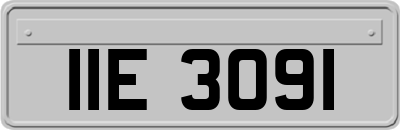 IIE3091