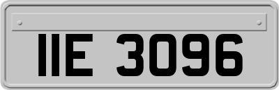 IIE3096