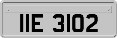 IIE3102