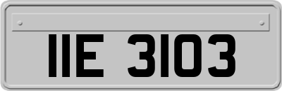 IIE3103
