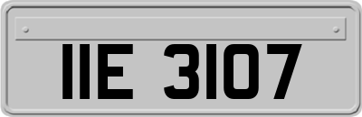 IIE3107