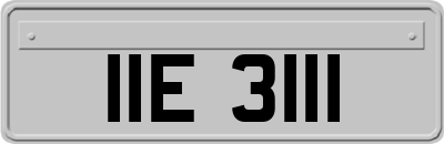 IIE3111