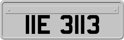 IIE3113