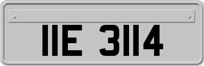 IIE3114