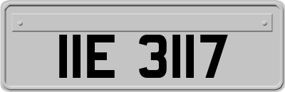 IIE3117