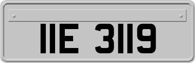 IIE3119