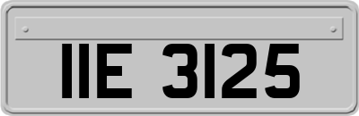 IIE3125