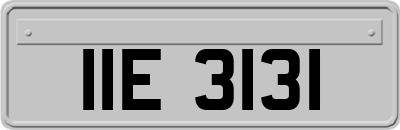 IIE3131