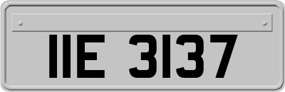 IIE3137
