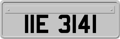 IIE3141