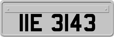 IIE3143