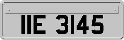 IIE3145