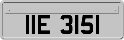 IIE3151