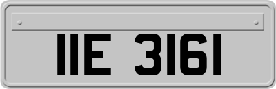 IIE3161