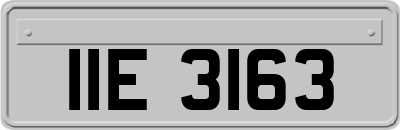 IIE3163