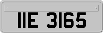 IIE3165