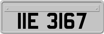 IIE3167