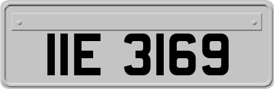IIE3169