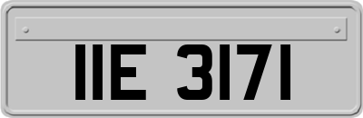 IIE3171