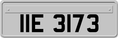 IIE3173