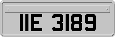 IIE3189