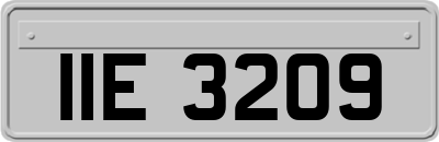 IIE3209