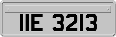 IIE3213