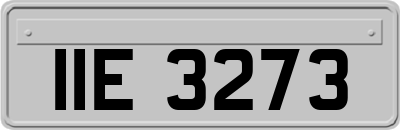 IIE3273