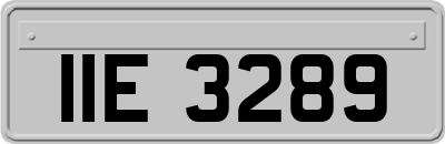 IIE3289