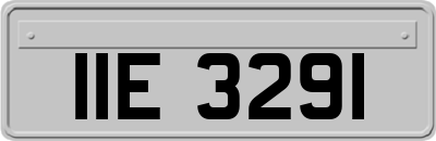 IIE3291