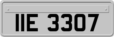 IIE3307