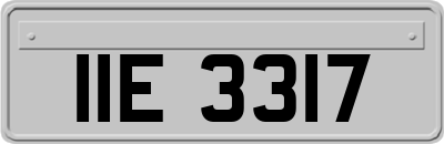 IIE3317