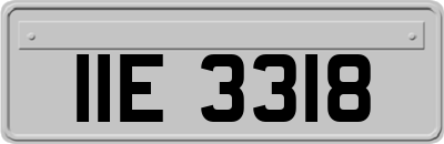 IIE3318