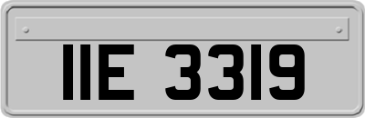 IIE3319